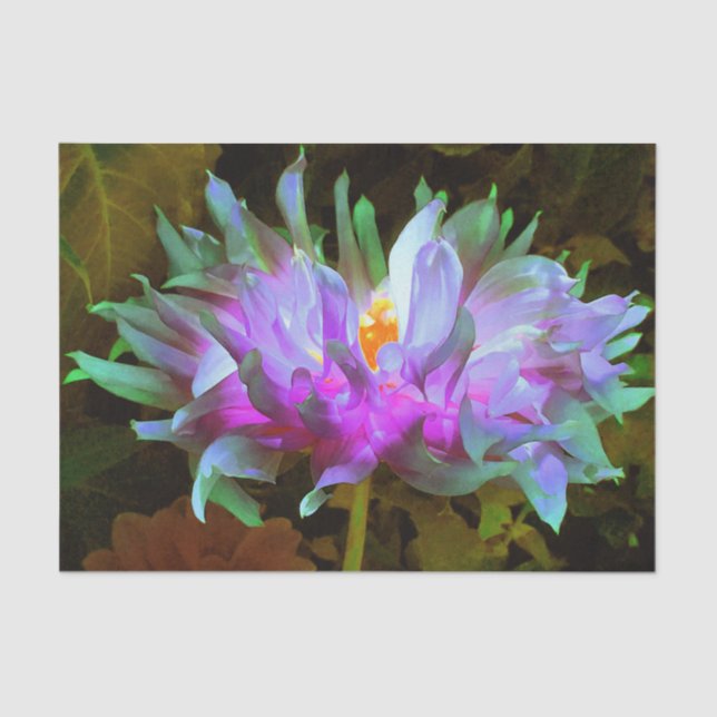 Papel De Seda Stunning Magenta and Lime Green Cactus Dahlia (Anverso)