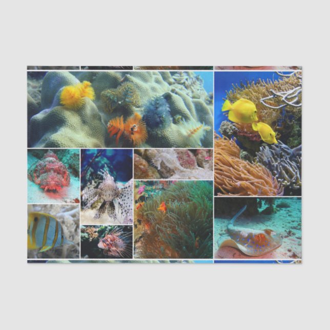 Papel De Seda Subacuático 36 (Anverso)