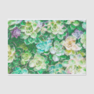 Papel De Seda Succulents que pintan por Cindy Bendel