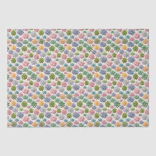 Papel De Seda Suculentas