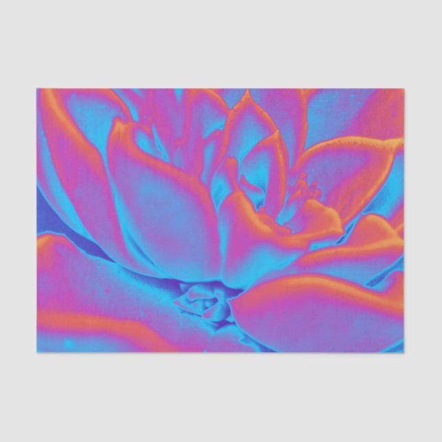 Papel De Seda Suculento misterio (Anverso)