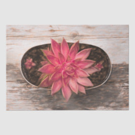 Papel De Seda Suculento Rústico Vintage Rosa Decoupage Botánico