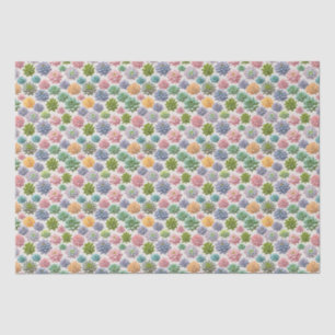 Papel De Seda Suculentos