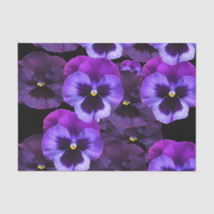 PAPEL DE SEDA SUEÑOS VIOLETAS