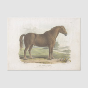 Papel De Seda Suffolk vintage de la descomposición del equino