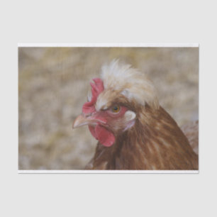 Papel De Seda Sulmtaler Hen