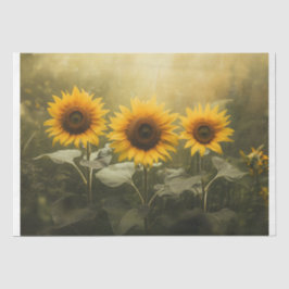 Papel De Seda Sunflower