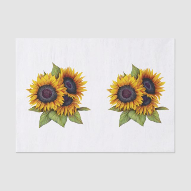 Papel De Seda Sunflower (Anverso)