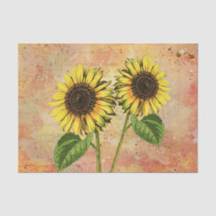 Papel De Seda Sunflower Country