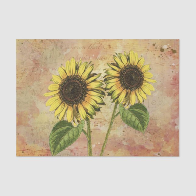Papel De Seda Sunflower Country (Anverso)