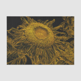 Papel De Seda Sunflower Golden Yellow Black Vintage Floral Art