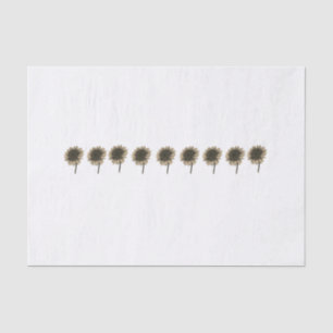 Papel De Seda Sunflower Live, Lauder, Amar