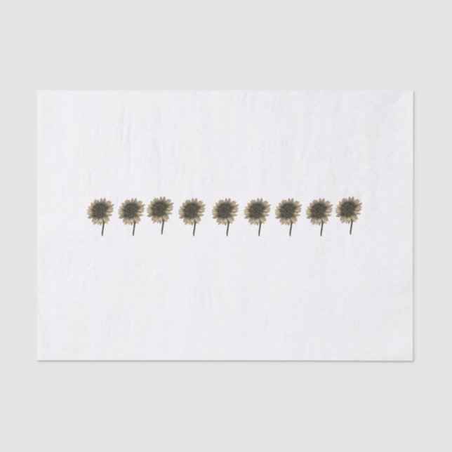 Papel De Seda Sunflower Live, Lauder, Amar (Anverso)