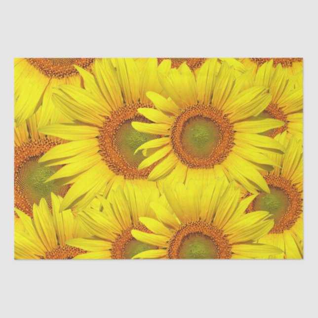 Papel De Seda Sunflowers Rustic Country Floral Summer Yellow (Anverso)