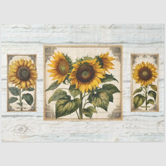 Papel De Seda Sunflowers Script Ephemera Rustic Wood Decoupage (Anverso)