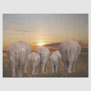 Papel De Seda Sunset de Elefantes Africanos
