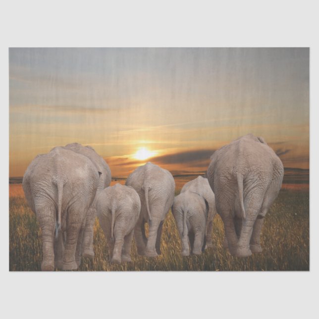 Papel De Seda Sunset de Elefantes Africanos (Anverso)