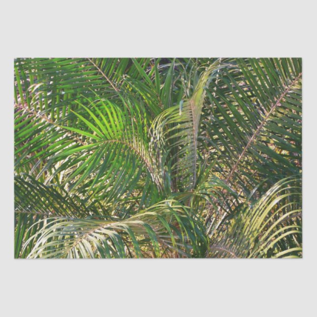 Papel De Seda Sunset Lit Palm Fronds Tropical (Anverso)