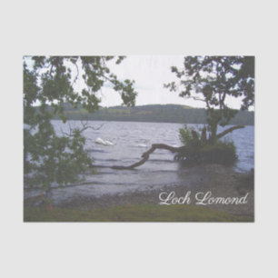 Papel De Seda Swans en Loch Lomond