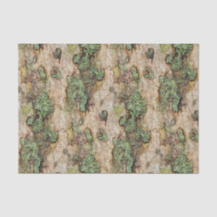 Papel De Seda Sycamore Tree Bark Moss Lichen
