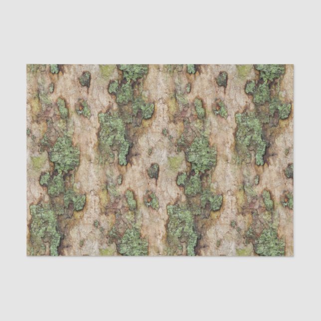 Papel De Seda Sycamore Tree Bark Moss Lichen (Anverso)