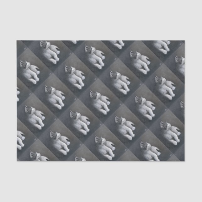 Papel De Seda Tabby Kitten (Anverso)