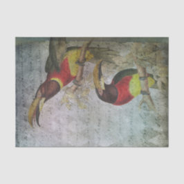 Papel De Seda Táctico tropical de época