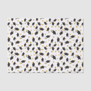 Papel De Seda Tapas Y Estrellas De Graduación