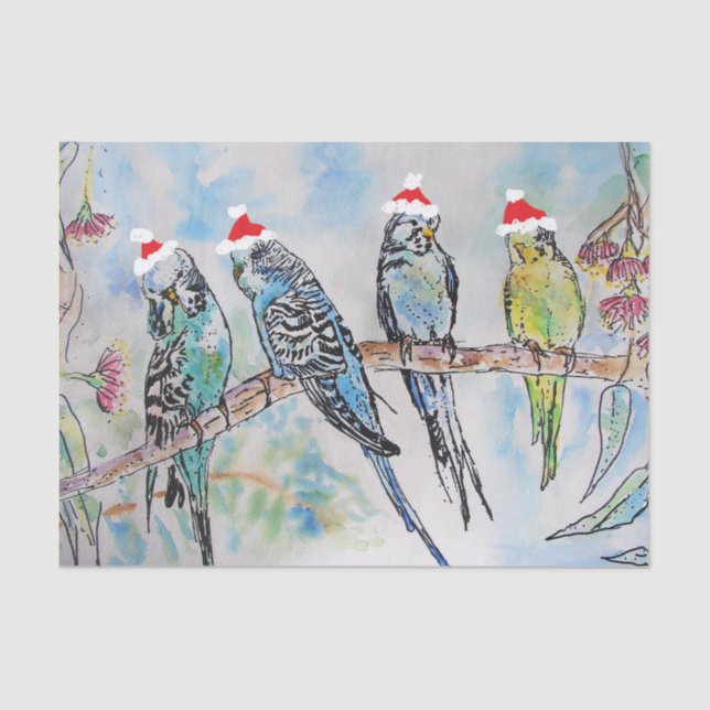 Papel De Seda Tarjeta de pájaro Santa Budgerigar para navidades (Anverso)