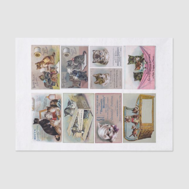 Papel De Seda Tarjetas comerciales genuinas (no de IA) con tema  (Anverso)