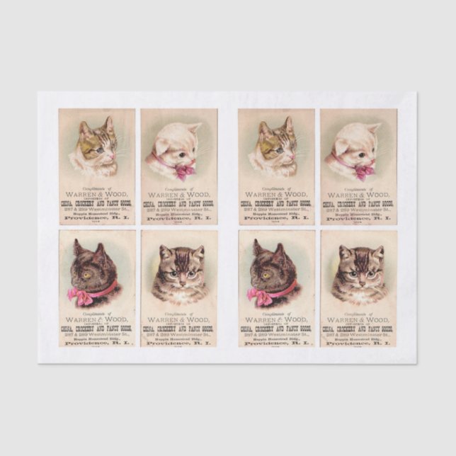 Papel De Seda Tarjetas de comercio de gatos de Helena Maguire (1 (Anverso)