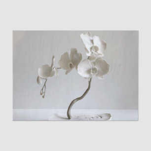 Papel De Seda Taupe de orquídea neutra cerámica