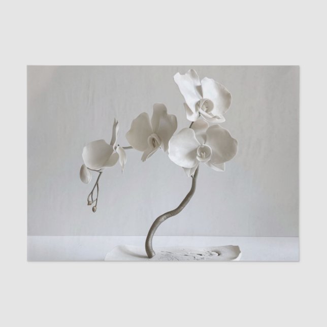 Papel De Seda Taupe de orquídea neutra cerámica (Anverso)