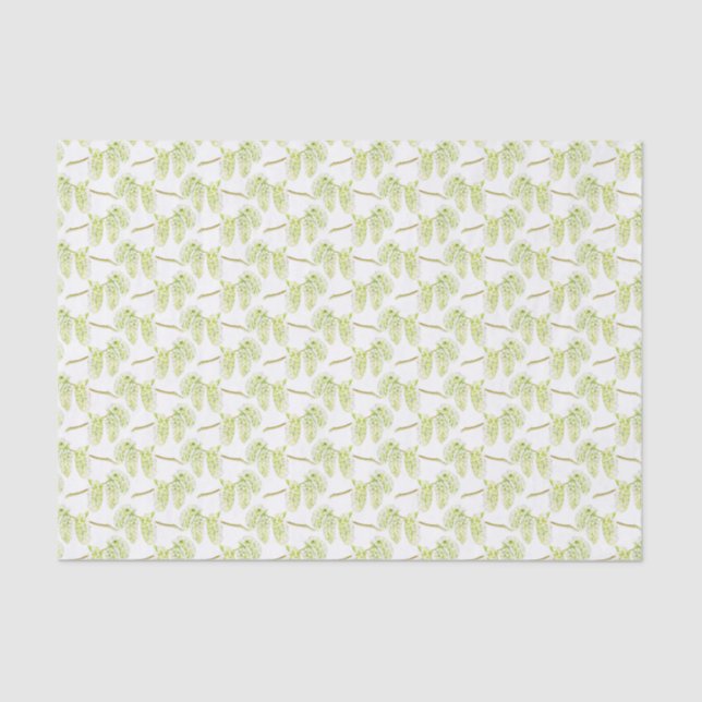 Papel De Seda Tejido acuarela de arte de sauce verde (Anverso)