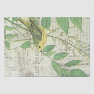 Papel De Seda Tejido De Collage De Aves Vintadas