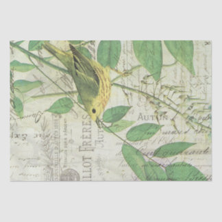 Papel De Seda Tejido De Collage De Aves Vintadas