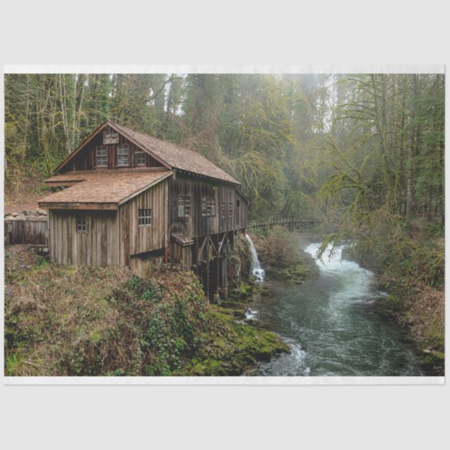 Papel De Seda Tejido de cubierta forestal 26 de descomposición (Anverso)