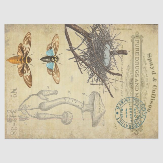 Papel De Seda Tejido de Decoupage del boticario (Anverso)