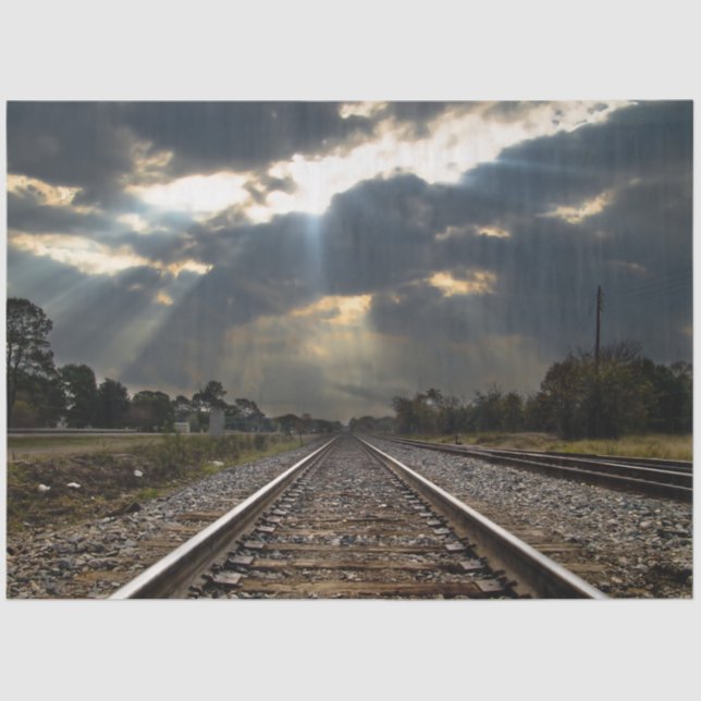 Papel De Seda Tejido de desconexión de pistas ferroviarias 20x30 (Anverso)