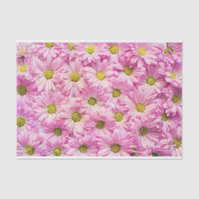 Papel De Seda Tejido de envolvimiento - Gerbera rosada Daisies (Anverso)