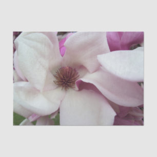 Papel De Seda Tejido de envolvimiento - Saucer Magnolia Bloom