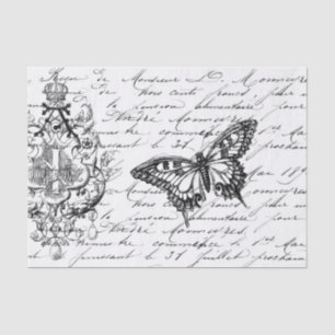 Papel De Seda Tejido de las Ephemeras de la escritura