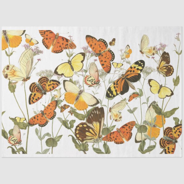 Papel De Seda Tejido de mariposas de época (Anverso)