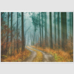 Papel De Seda Tejido de ruta forestal otoño 13 de diciembre