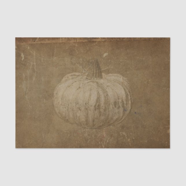 Papel De Seda Tejido de ungüento de calabaza blanca Sepia otoño