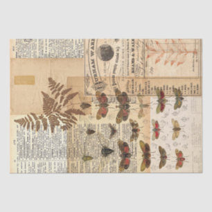 Papel De Seda Tejido del collarín de la naturaleza de la vintad