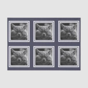 Papel De Seda Texto moderno del personalizado del collage de