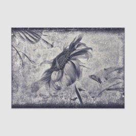 Papel De Seda Textura Antigua Blanca Y Negra Vintage De Girasol