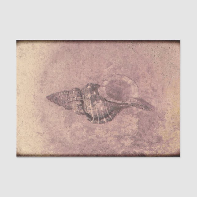 Papel De Seda Textura de deslumbramiento de la cubierta marina d (Anverso)