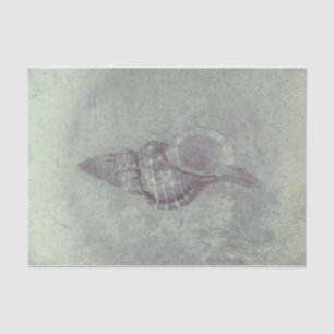 Papel De Seda Textura de la playa del Océano Vintage gris de la 